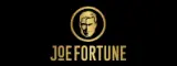 Joe Fortune logo